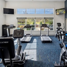 natural lighting floods gym