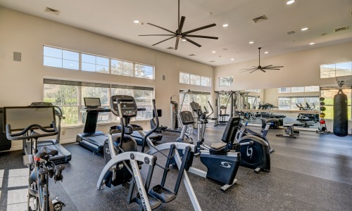 Luxury One Bedroom Apartments & Amenities in Littleton Cover Image