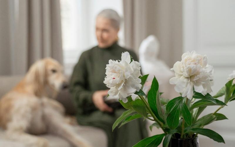 dog and owner sit on living room couch