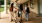 a group of people walking down a sidewalk
